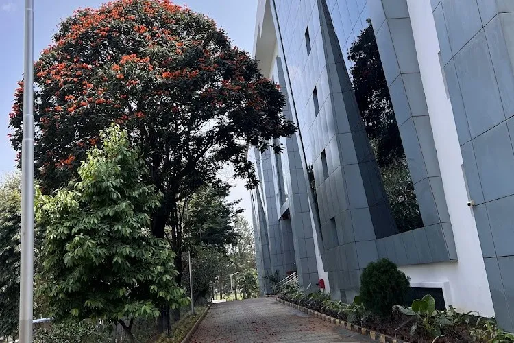 Campus walkway